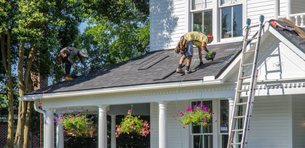 Best Roof Insulation Installation  in Las Lomas, TX